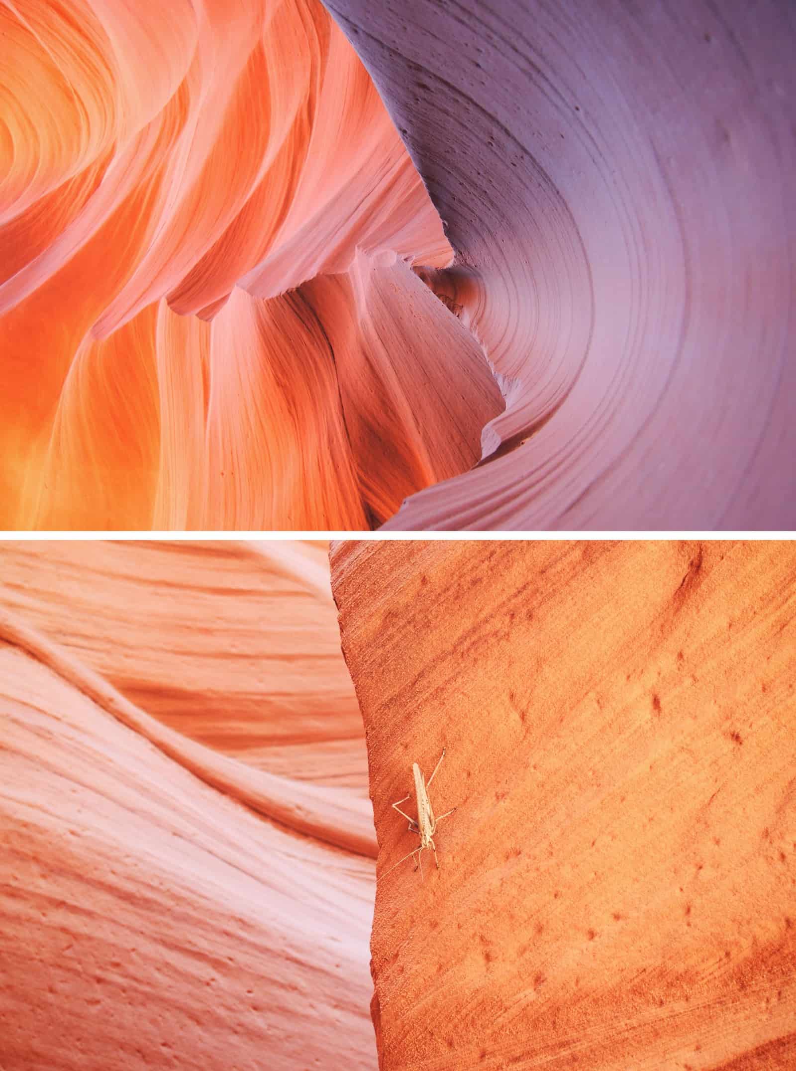 canyon closeups