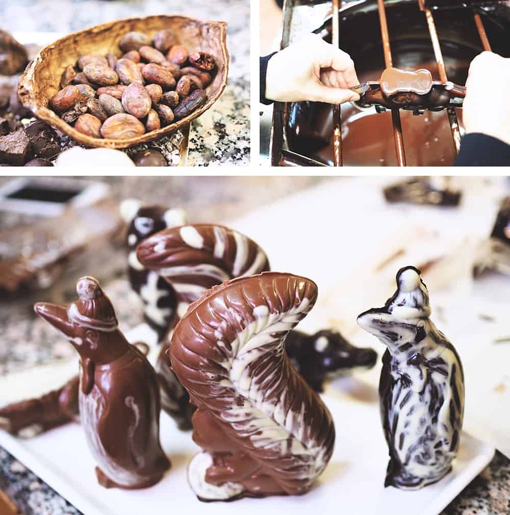 swiss chocolate workshop