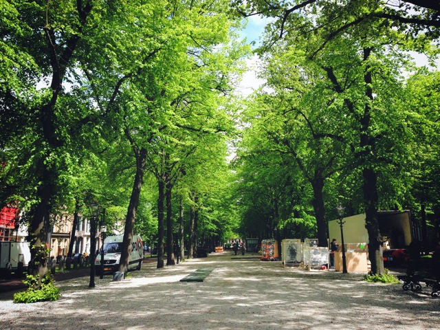 lange voorhout