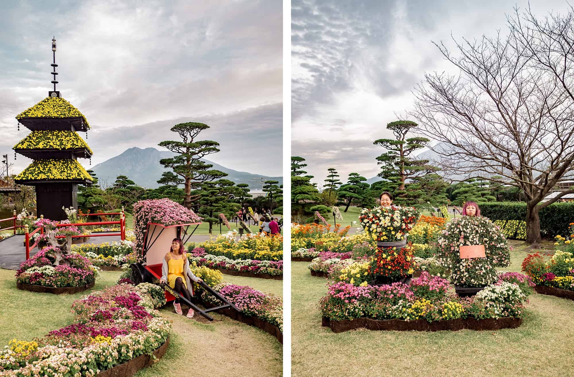 sengan-en flowers