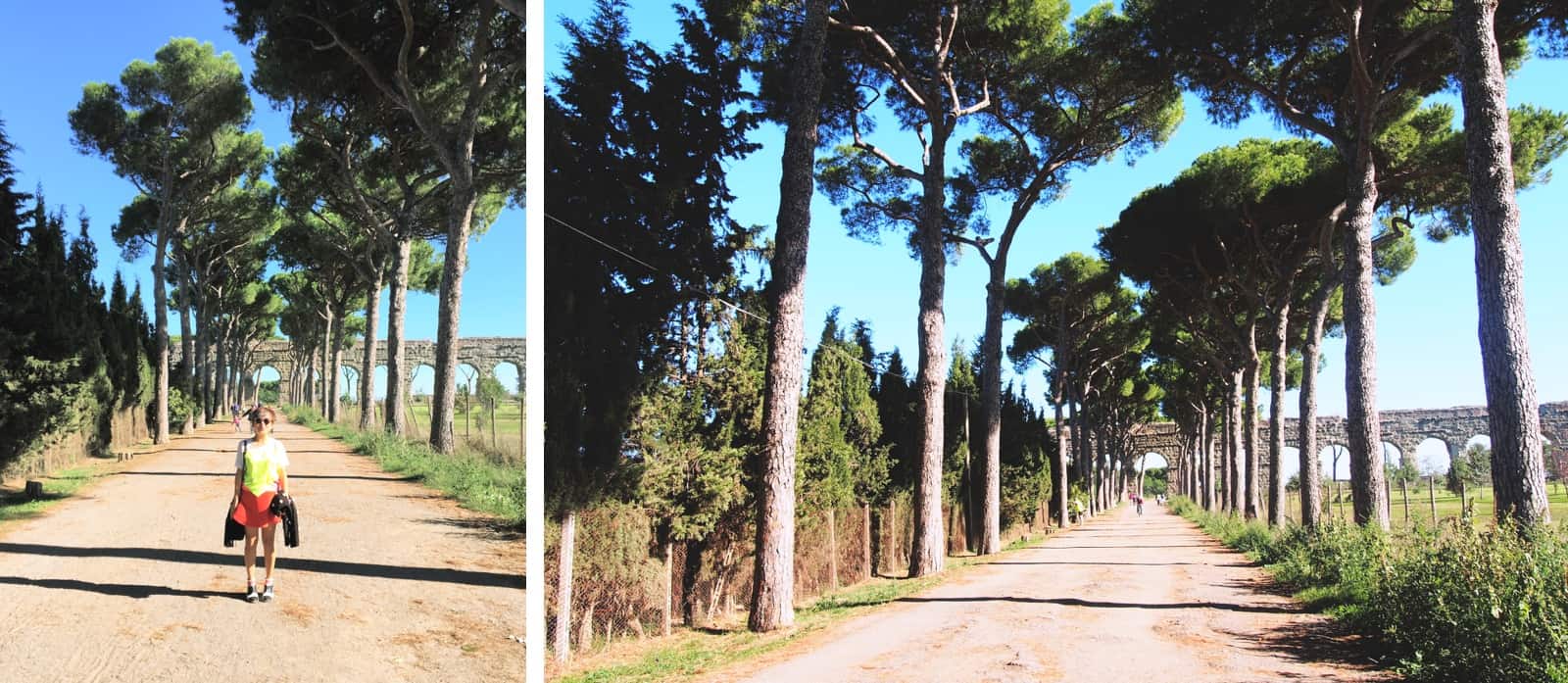 aqueducts pines